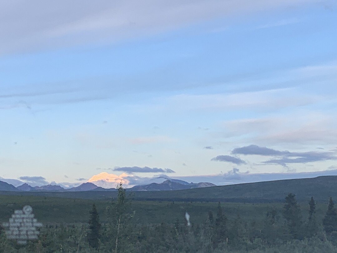 Dag 97 Denali National Park and reserve
