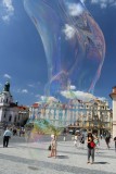 IMG_1287