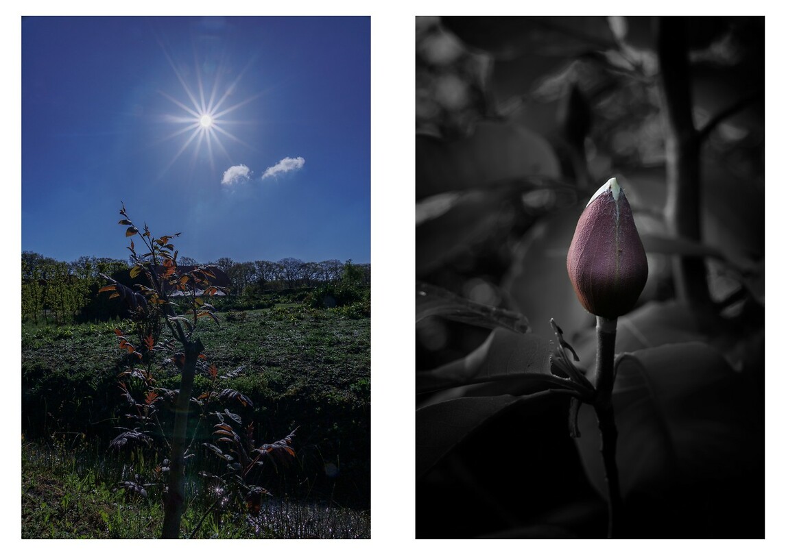 Plantentuin-4