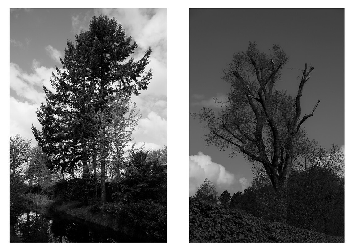 Plantentuin-15