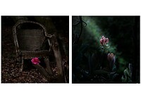 Plantentuin-3