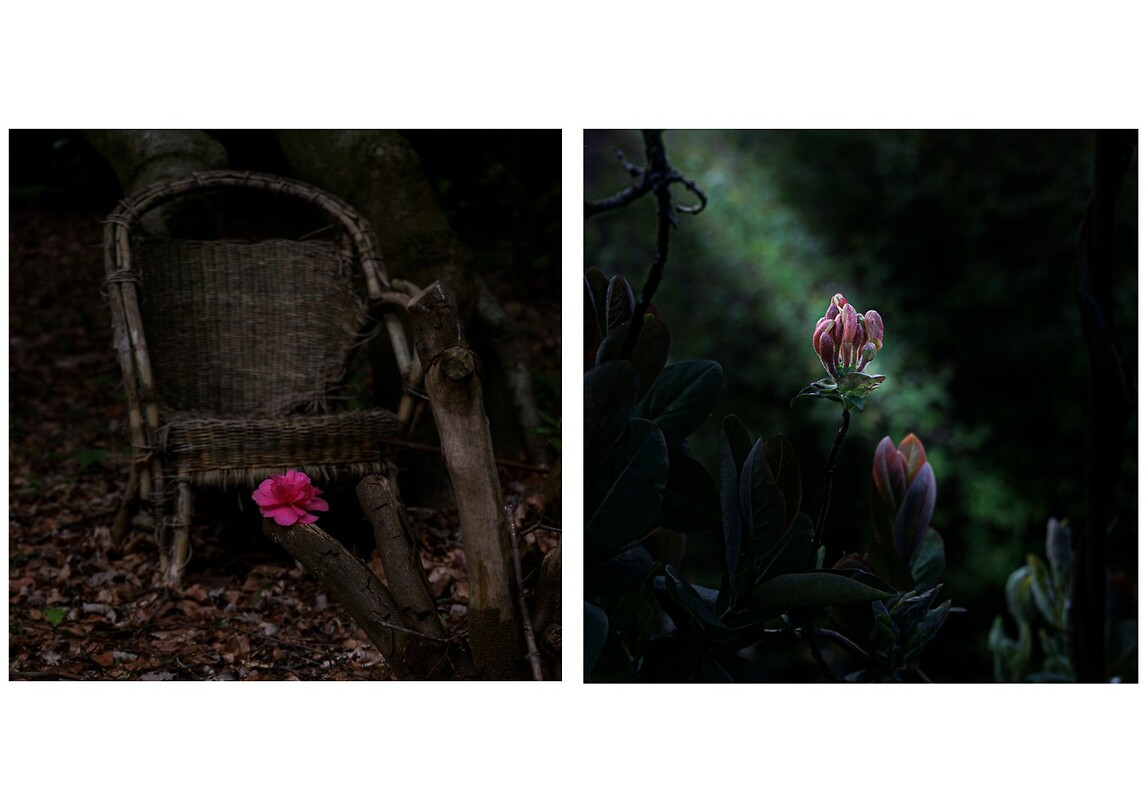 Plantentuin-3