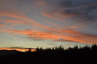 DSC_0659