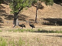IMG-20230302-WA0009