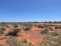 IMG-20230307-WA0008
