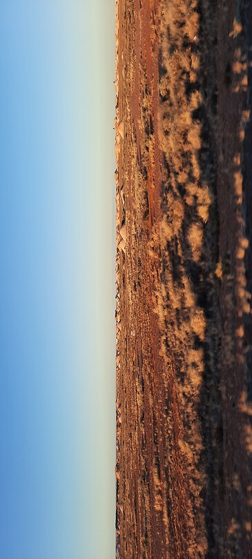 20230309_074658
