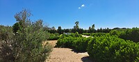 Agroturismo Tenuta Don Giovanni