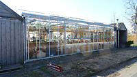 DSC03164