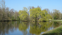 DSC03169