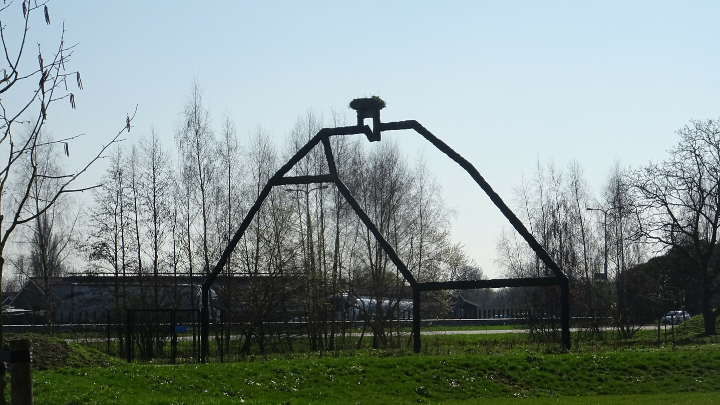 DSC03178