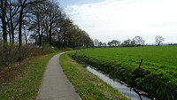 DSC03208