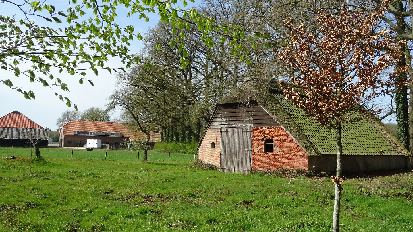 DSC03235