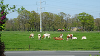 DSC03252