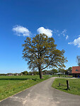 IMG_7100