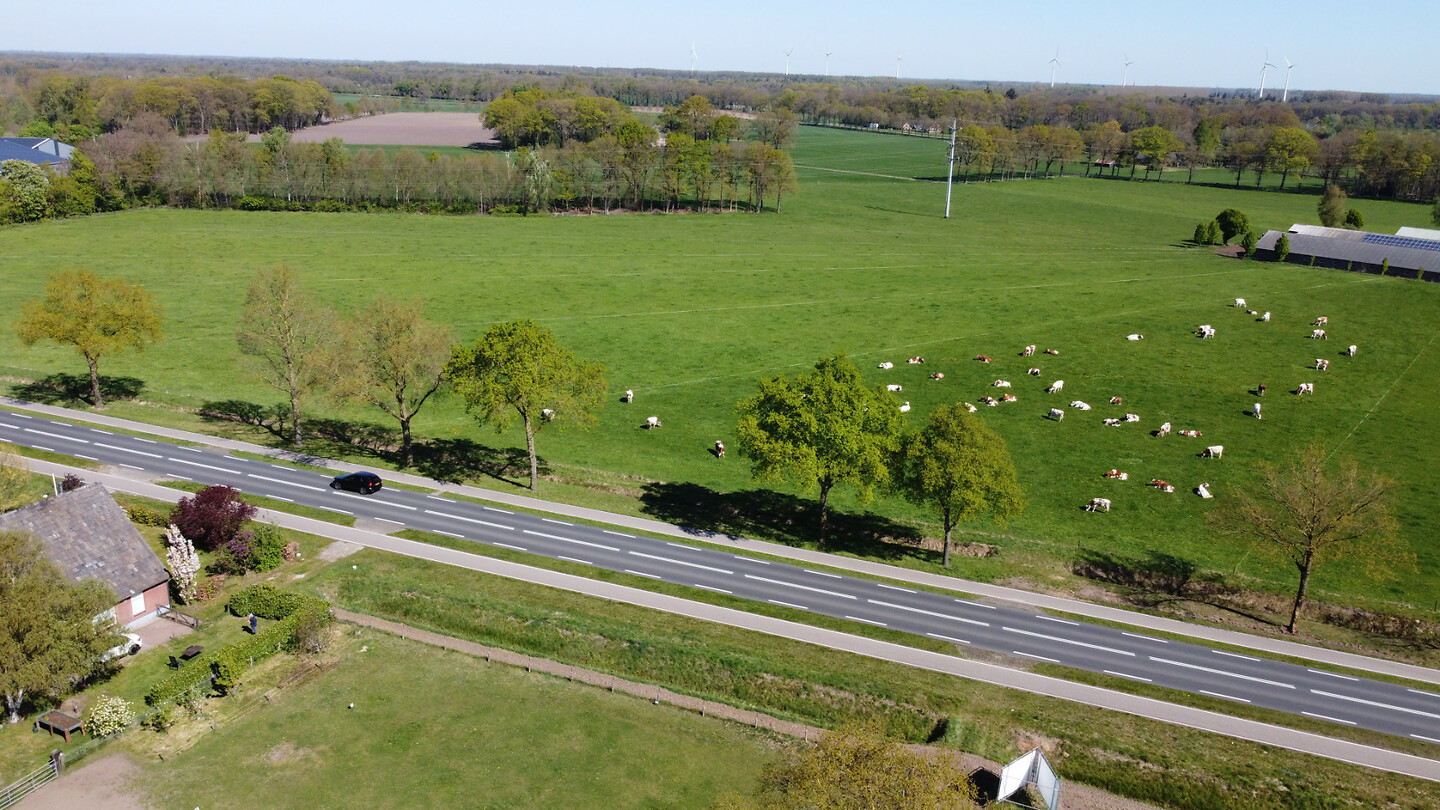 DJI_0266