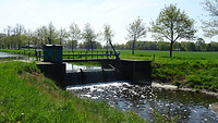 DSC03263