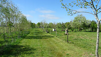 DSC03279