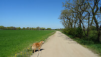 DSC03293