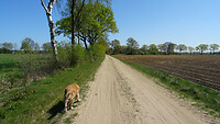 DSC03297