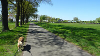 DSC03304