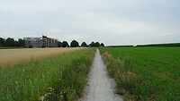 DSC03323