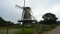 DSC03325