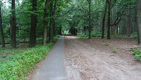 DSC03332