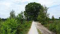 DSC03343