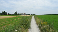 DSC03352