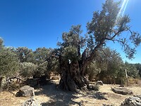 IMG_7761