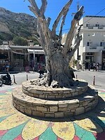 IMG_7733