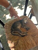 IMG_7876