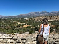 IMG_7849