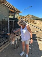 IMG_7845