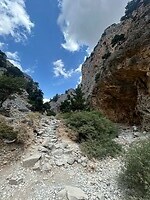 IMG_8014