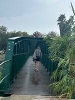 IMG_8062