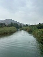 IMG_8054