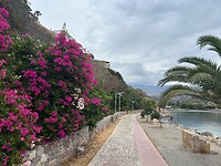 IMG_8046