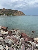 IMG_8082
