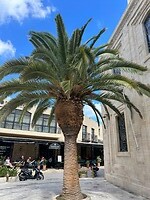 IMG_8112