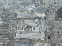 IMG_8107