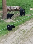 20180829_174501