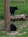 20180829_174313