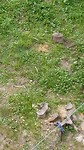 30 aug Acadieville...beregoeie dag