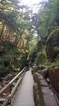 20180905_110919
