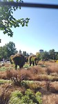 20180917_105043