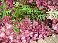 P1070134