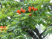 P1020069