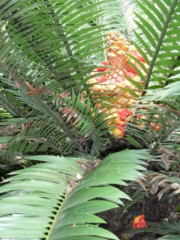 P1070167