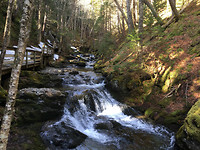 Fundy NP, Dickson Falls (1)